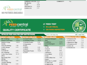 65mt approx. Vetch Hay 550kg 8x4x3 Bales
