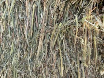 Oaten Hay 8x4x3 Bales (Freighted only)