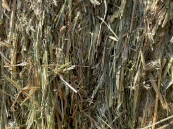 Oaten Hay 8x4x3 Bales (Freighted only)