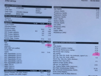 40mt Vetch Hay 640kg 8x4x3 Bales