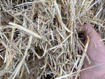 Wheaten Straw 8x4x3 Bales