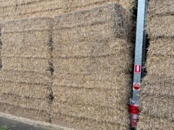 Wheaten Straw 8x4x3 Bales
