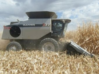 8 Row AGCO Corn Front