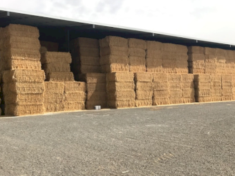 200mt Vetch Hay 600-650kg 8x4x3 Bales (19/20)