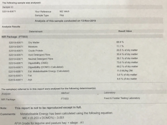 200mt Vetch Hay 600-650kg 8x4x3 Bales (19/20)