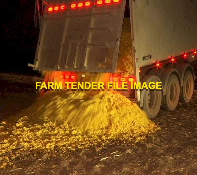 Citrus Peel/Stockfeed