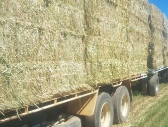 150mt Oaten Hay 650kg 8x4x3 Bales