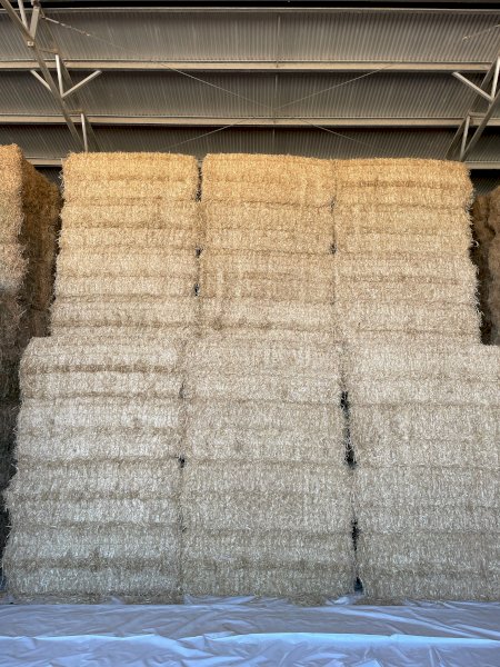 180mt Barley Straw 500-600kg 8x4x3 Bales (Export Quality)