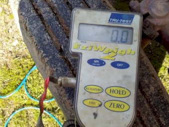 Tru Test Weight bars and Platform