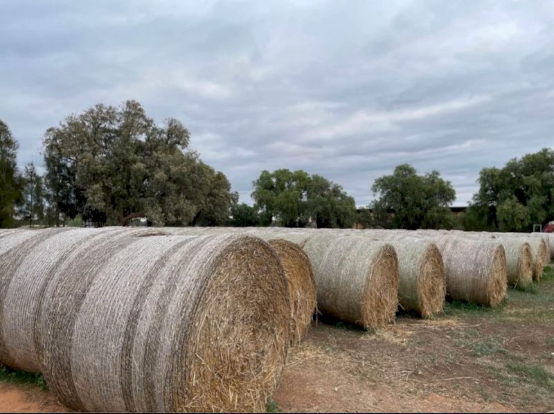 500 x Oaten Hay 415kg 5x4 Rolls