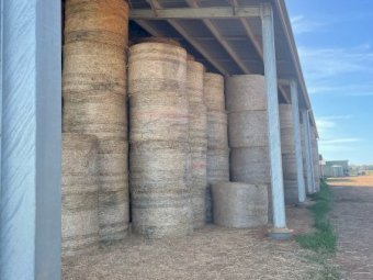 300 x Oaten Hay 380kg 5x4 Rolls