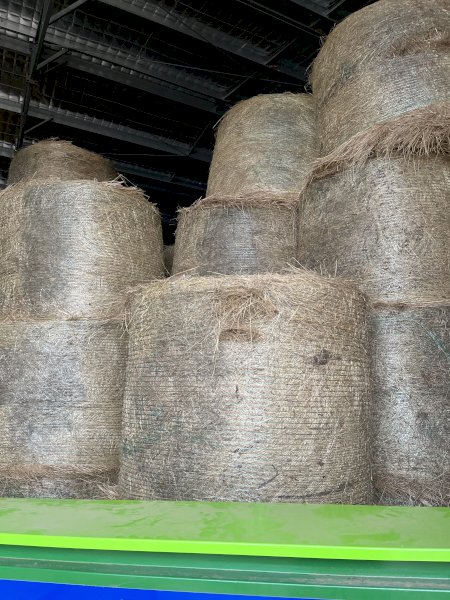 100 x Rye & Clover 5x4 Rolls