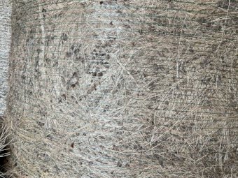 100 x Rye & Clover 5x4 Rolls