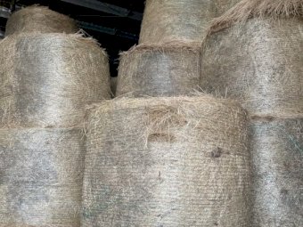 100 x Rye & Clover 5x4 Rolls