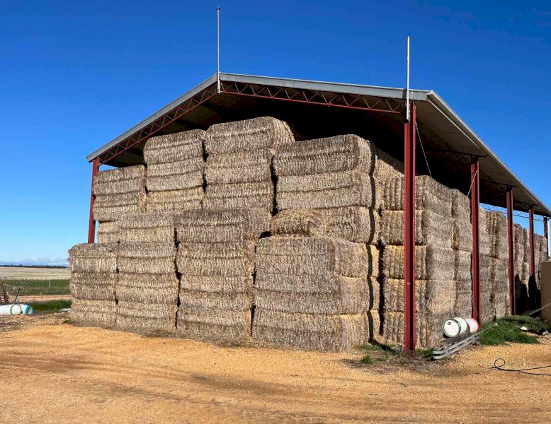 250mt Wheaten Straw 500-530kg 8x4x3 Bales (Header Trailed)
