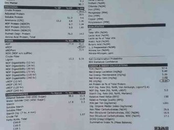 Vetch Hay 8x4x3 Bales