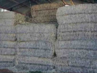 Wheaten & Barley Straw