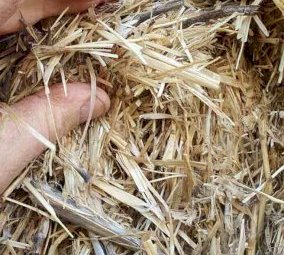 Wheaten & Barley Straw