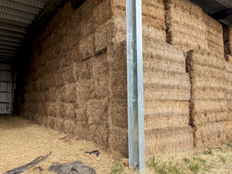 360mt Vetch Hay 8x4x3 Bales