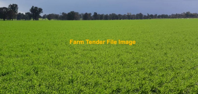 WANTED Lease Cropping Land