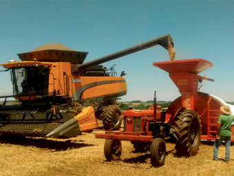 Pacifil Grain Bags - 9 x 75mtr 250 Micron