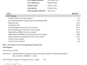 100mt Pasture Hay 600kg 8x4x3 Bales