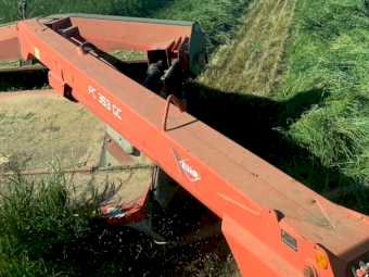 Wheaten Hay 5x4 Rolls