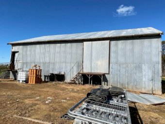 Shearing Shed 15.5m x 10.5m (POA)