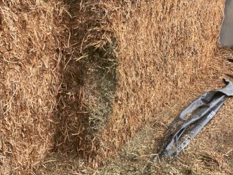 200mt Vetch Hay 640kg 8x4x3 Bales (21/22)