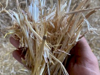 Barley Straw 500kg 8x4x3 Bales