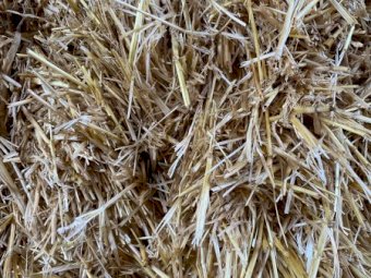 Barley Straw 500kg 8x4x3 Bales
