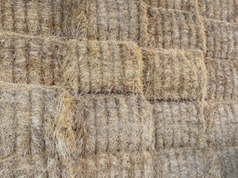 Barley Straw 500kg 8x4x3 Bales