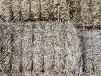 Barley Straw 500kg 8x4x3 Bales