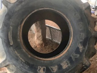 Goodyear 28L-26 Header Tyre