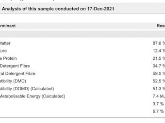 150 m/t Vetch Hay 8x4x3 Bales