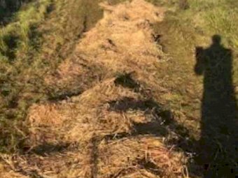 200mt Oaten Rye Grass Hay 450kg 5x4 Round Bales