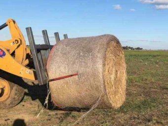 200mt Oaten Rye Grass Hay 450kg 5x4 Round Bales