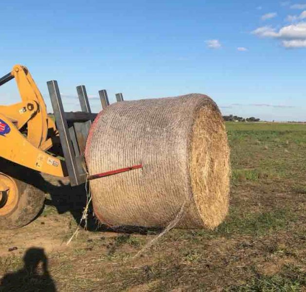 200mt Oaten Hay 450kg 5x4 Round Bales