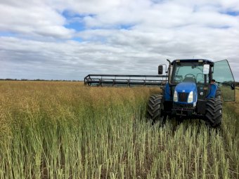 Cole Engineering 25 ft Trailing Windrower