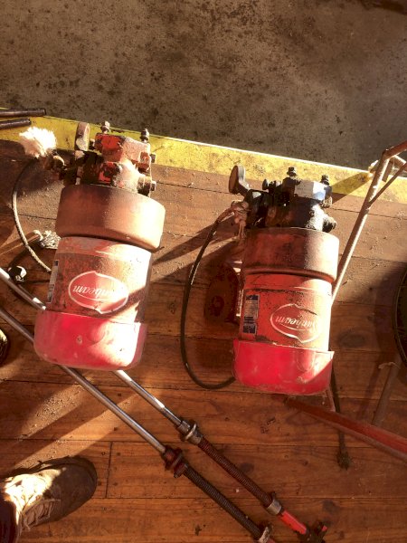 Sunbeam  Overhead plants