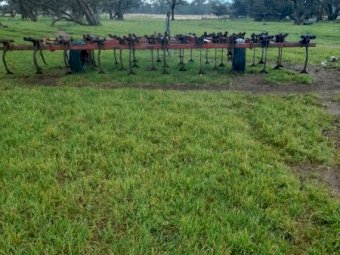 International 29 Tyne Scarifier