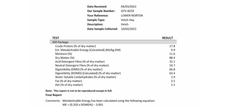 Vetch Hay freight available