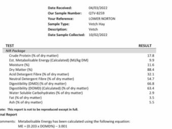 Vetch Hay freight available