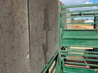 Under Auction - (A195) 2009 19 Foot Pig Trailer And Duncan Stock Crate 