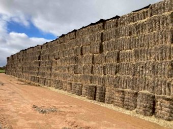 Oaten Hay 8x4x3 Bales