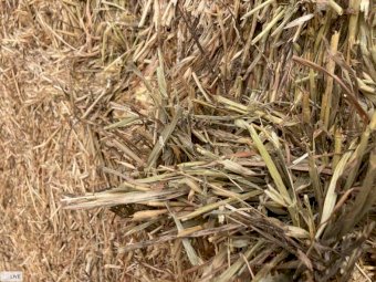 Oaten Hay 8x4x3 Bales
