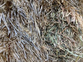 Oaten Hay 8x4x3 Bales