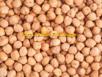 WANTED Kabuli or Desi Chickpeas