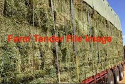 Baron Packs of 21 Small Square Bales