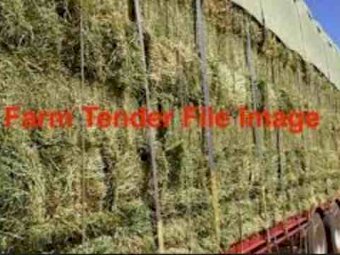 Baron Packs of 21 Small Square Bales